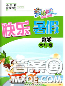 2020年智多星假期作業(yè)快樂暑假六年級(jí)數(shù)學(xué)人教版答案