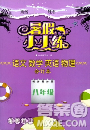 2020年暑假小小練八年級(jí)語文數(shù)學(xué)英語物理合訂本參考答案