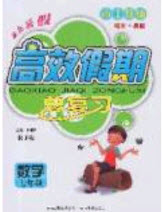 2020年本土教輔贏在暑假高效假期總復(fù)習(xí)七年級數(shù)學(xué)RJ人教版參考答案