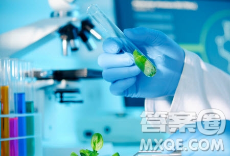 2020生物工程專(zhuān)業(yè)最好的院校是哪些 2020生物工程專(zhuān)業(yè)院校排名