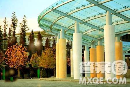 2020日照職業(yè)技術(shù)學(xué)院哪些專業(yè)比較好 2020日照職業(yè)技術(shù)學(xué)院可以選擇哪些專業(yè)