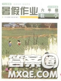 武漢出版社2020年開心假期暑假作業(yè)六年級數(shù)學人教版答案
