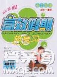 2020年本土教輔贏在暑假高效假期總復習八年級物理蘇科版參考答案