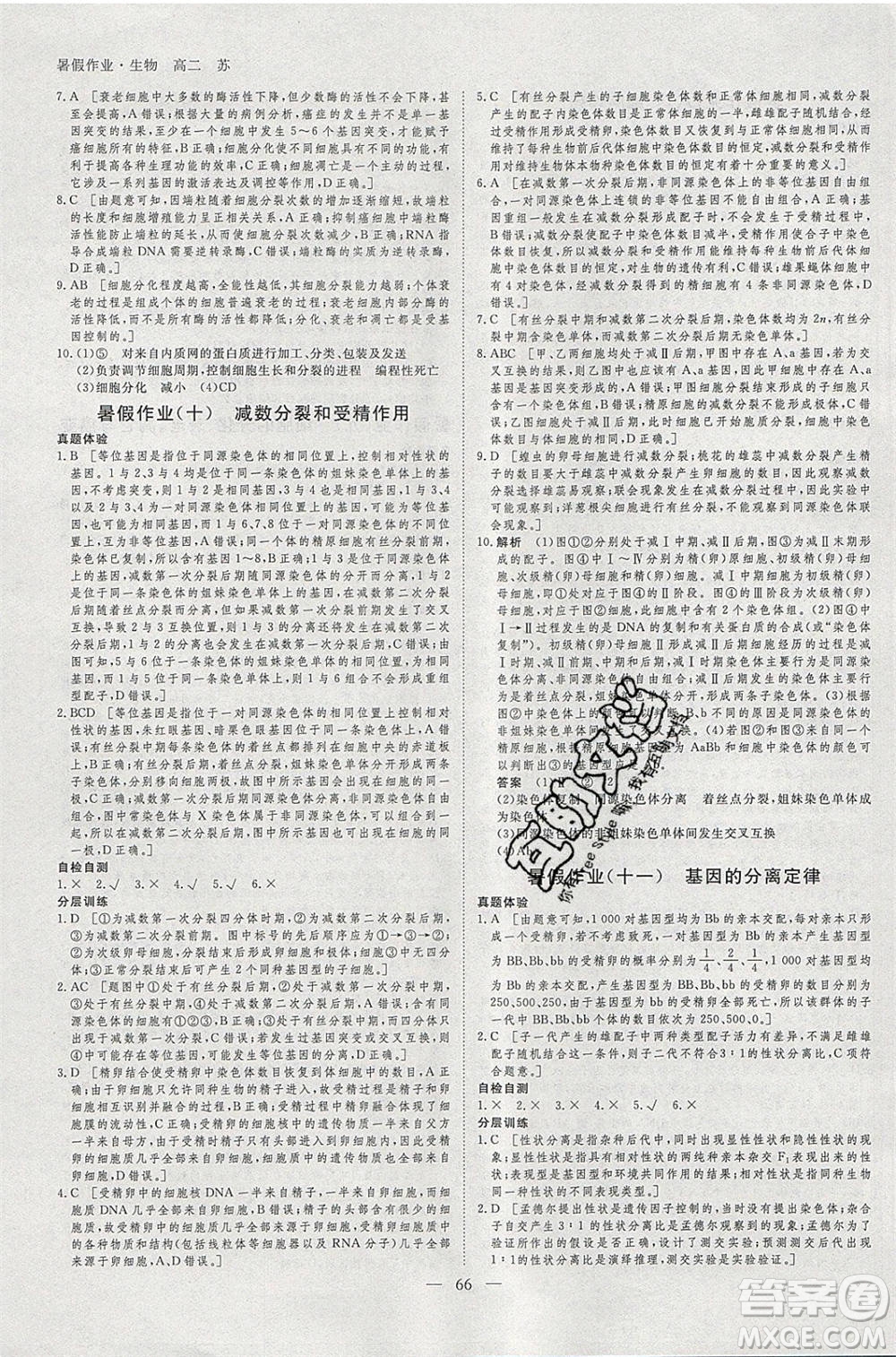 黑龍江教育出版社2020年步步高暑假作業(yè)高二生物江蘇專用參考答案