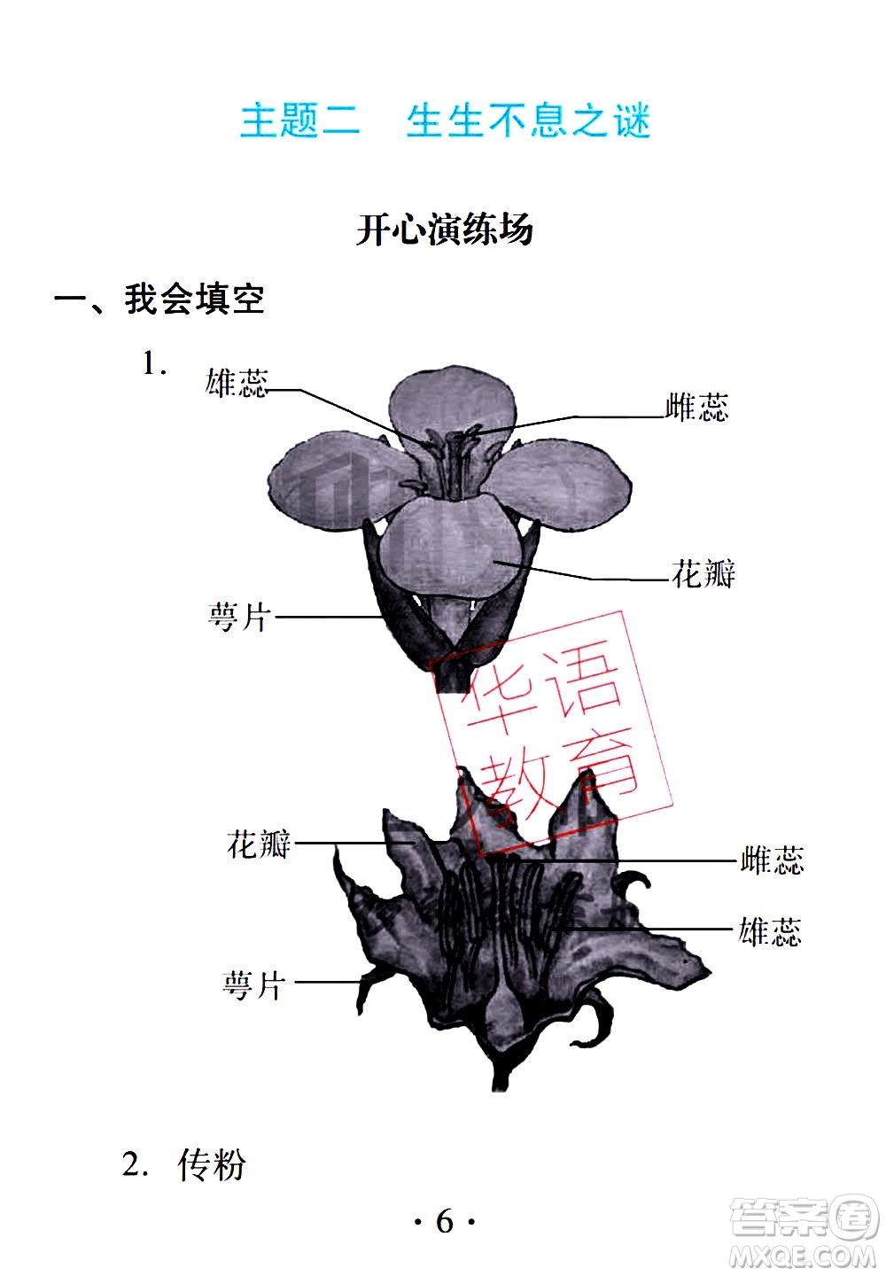 2020年假日知新暑假學(xué)習(xí)與生活四年級(jí)綜合學(xué)習(xí)版參考答案
