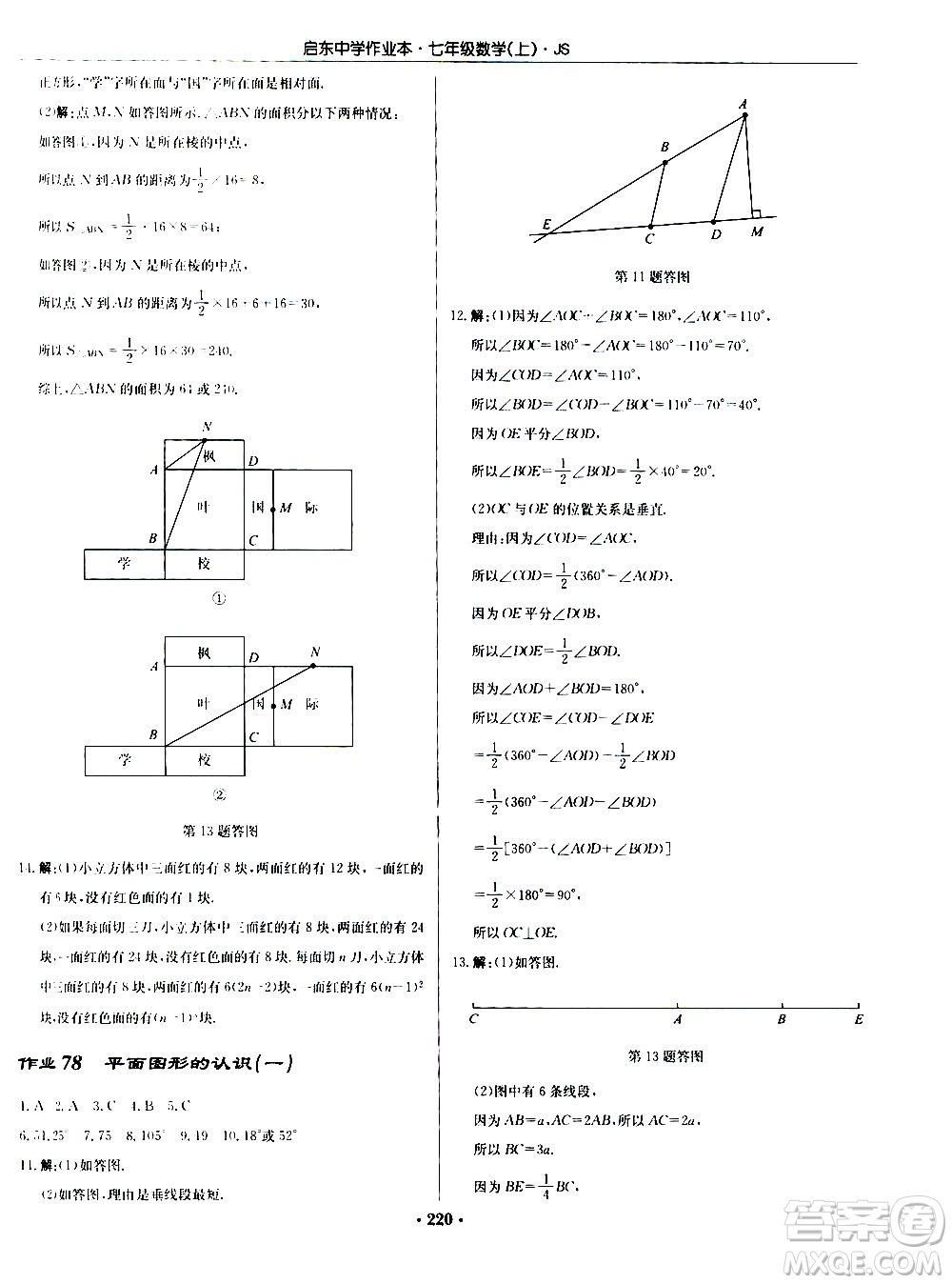 龍門書局2020秋啟東中學(xué)作業(yè)本七年級(jí)數(shù)學(xué)上冊(cè)SJ蘇教版參考答案