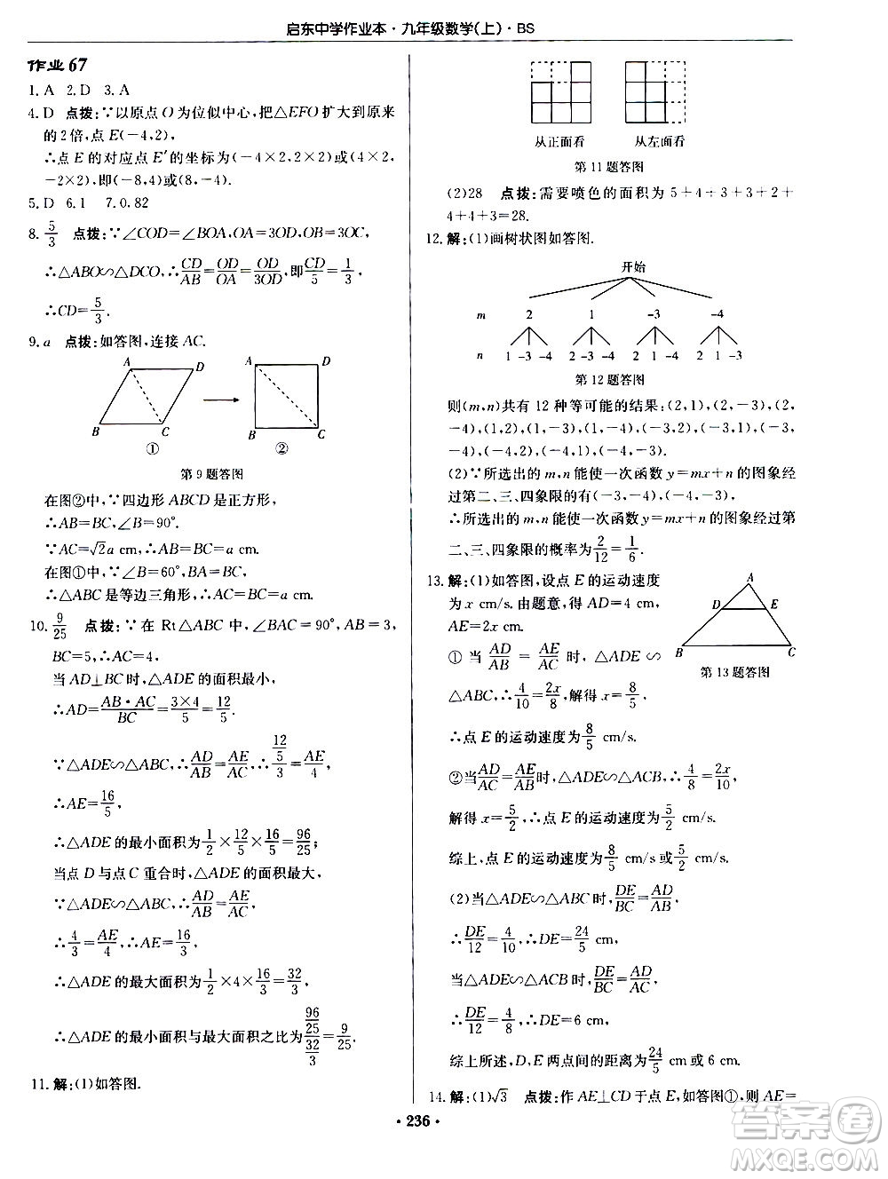 龍門書局2020秋啟東中學作業(yè)本九年級數(shù)學上冊BS北師版參考答案