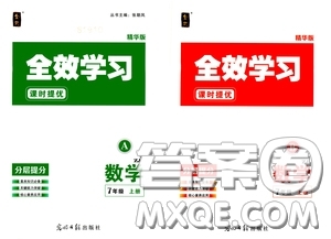 2020全效學(xué)習(xí)課時(shí)提優(yōu)七年級(jí)數(shù)學(xué)上冊(cè)浙教版答案