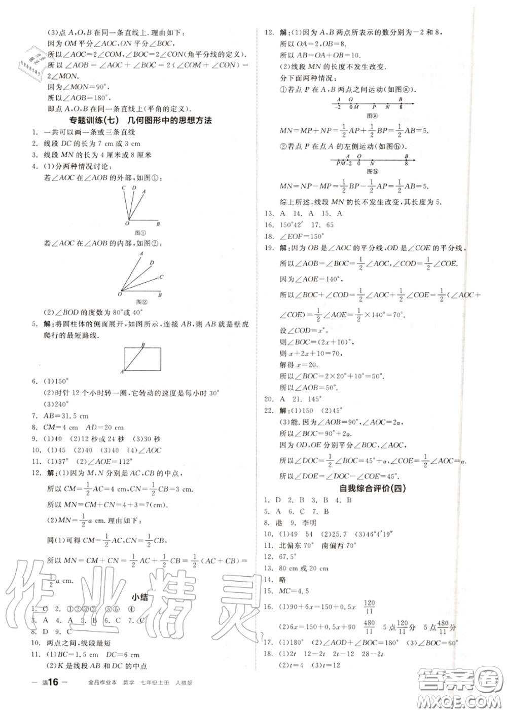 陽光出版社2020秋全品作業(yè)本七年級數(shù)學(xué)上冊人教版答案