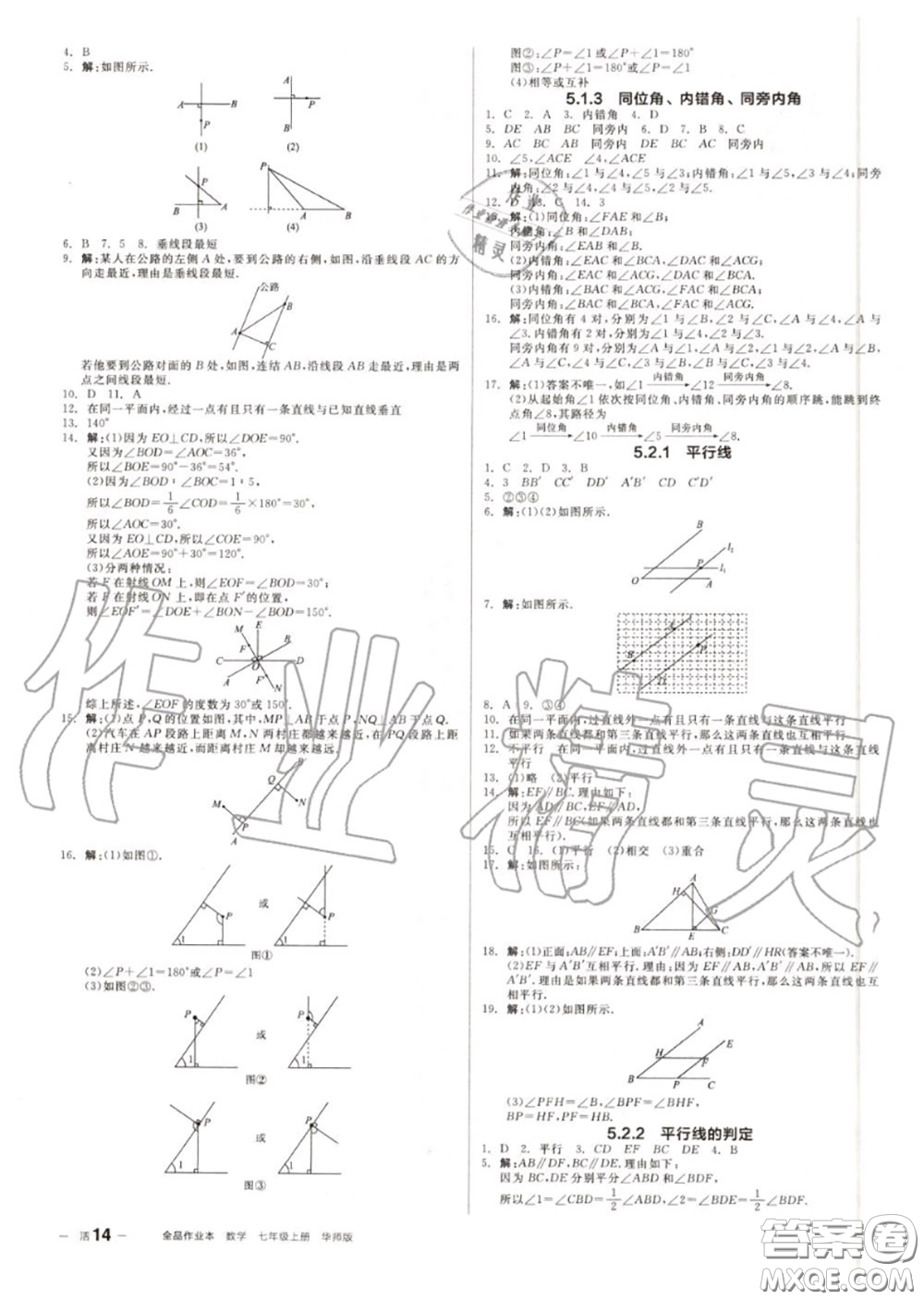 陽(yáng)光出版社2020秋全品作業(yè)本七年級(jí)數(shù)學(xué)上冊(cè)華師版答案