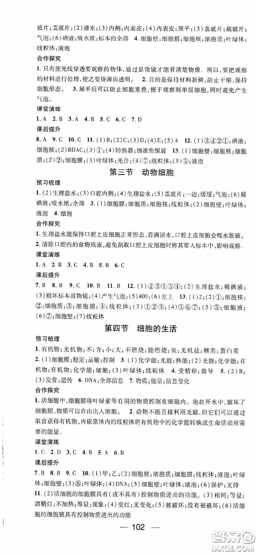 陽光出版社2020精英新課堂七年級生物上冊人教版答案