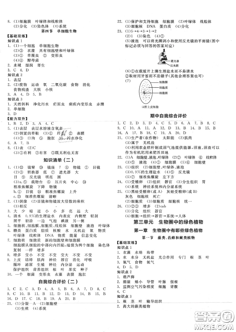 陽光出版社2020秋全品作業(yè)本七年級(jí)生物上冊(cè)人教版答案