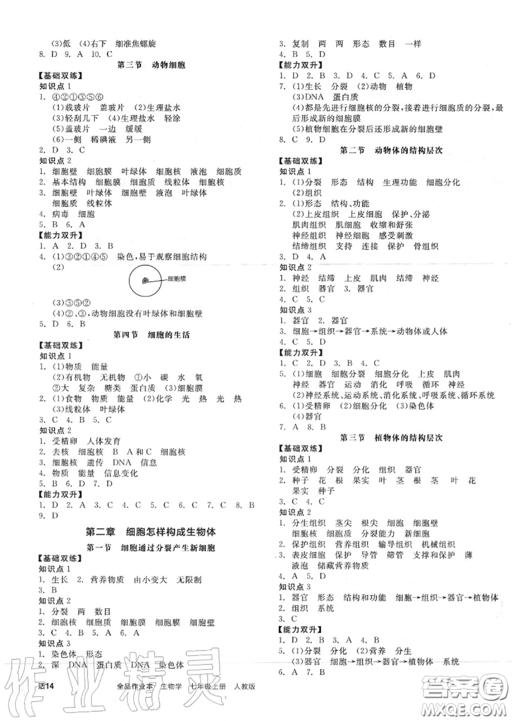 陽光出版社2020秋全品作業(yè)本七年級(jí)生物上冊(cè)人教版答案