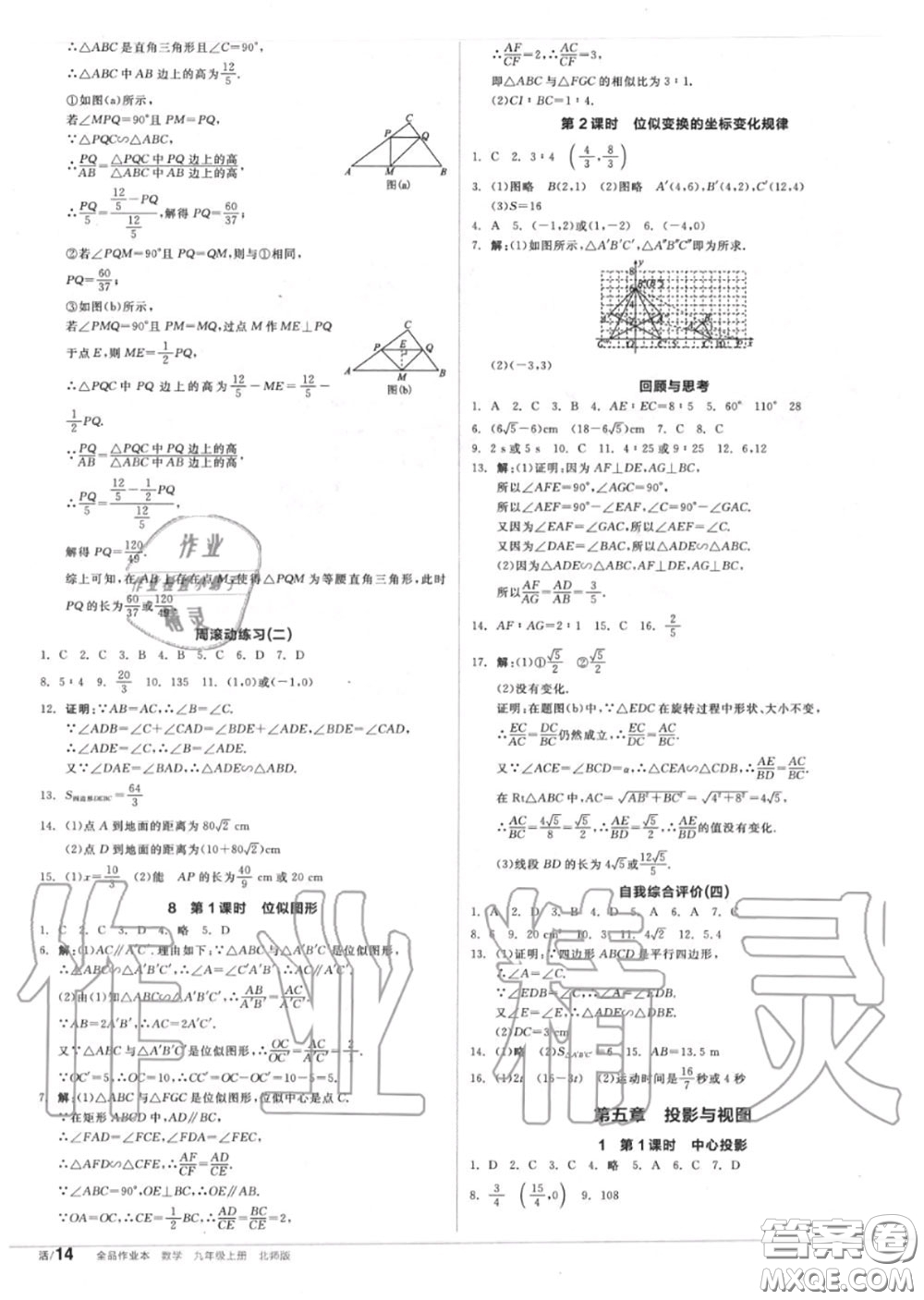 陽光出版社2020秋全品作業(yè)本九年級數(shù)學上冊北師版答案