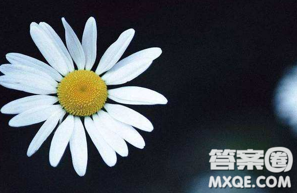 大學生暑期社會實踐心得體會 關于大學生暑期社會實踐的心得體會
