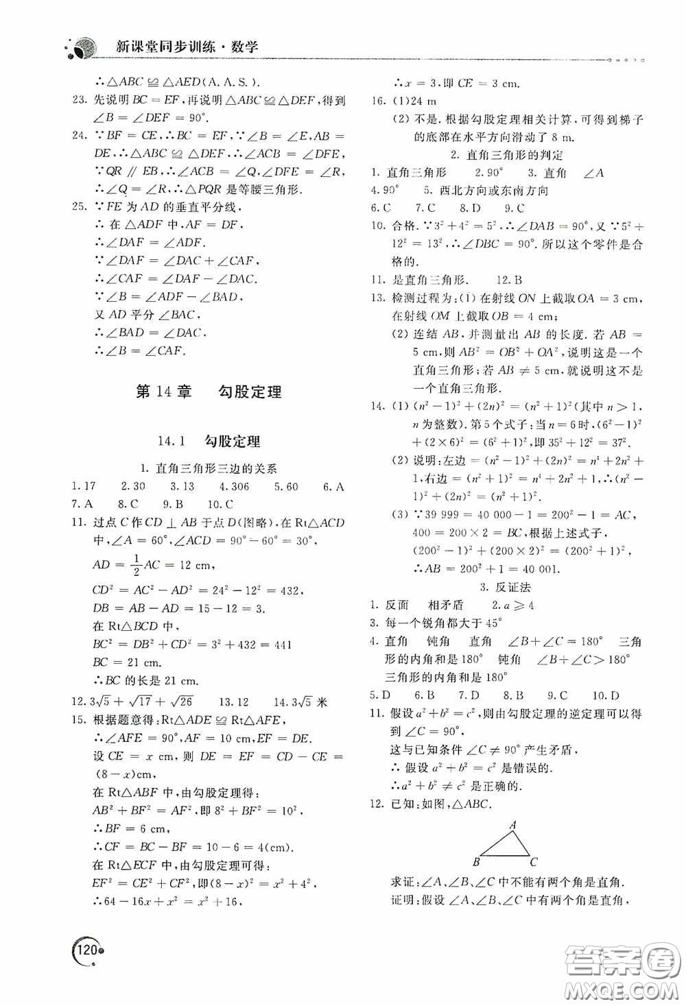 北京教育出版社2020新課堂同步訓(xùn)練八年級數(shù)學(xué)上冊華東師大版答案