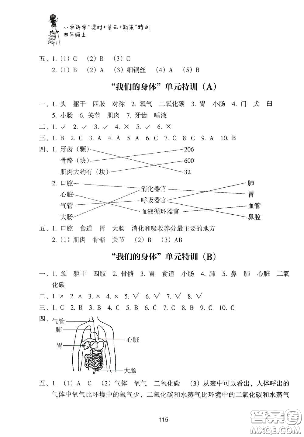 浙江教育出版社2020課時單元期末特訓(xùn)小學(xué)科學(xué)四年級上冊答案