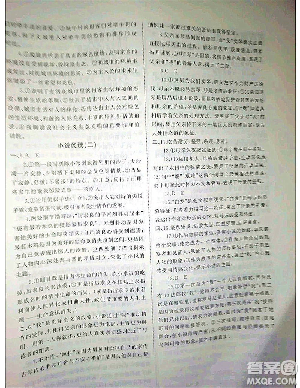 2020年高職考相約在高校語文知識(shí)梳理高職考測(cè)試卷答案