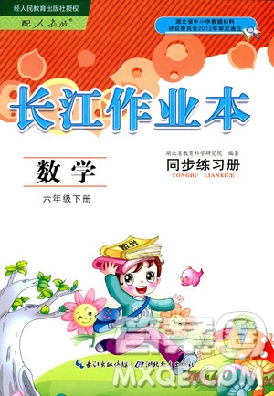 湖北教育出版社2020年長江作業(yè)本同步練習(xí)冊數(shù)學(xué)六年級下冊人教版答案