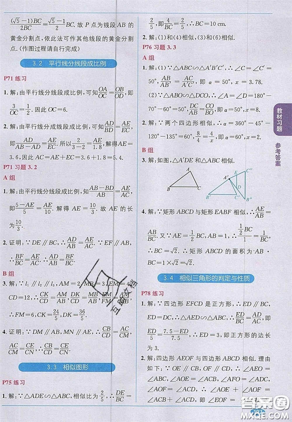 新疆青少年出版社2020教材1加1九年級數(shù)學上冊湘教版答案