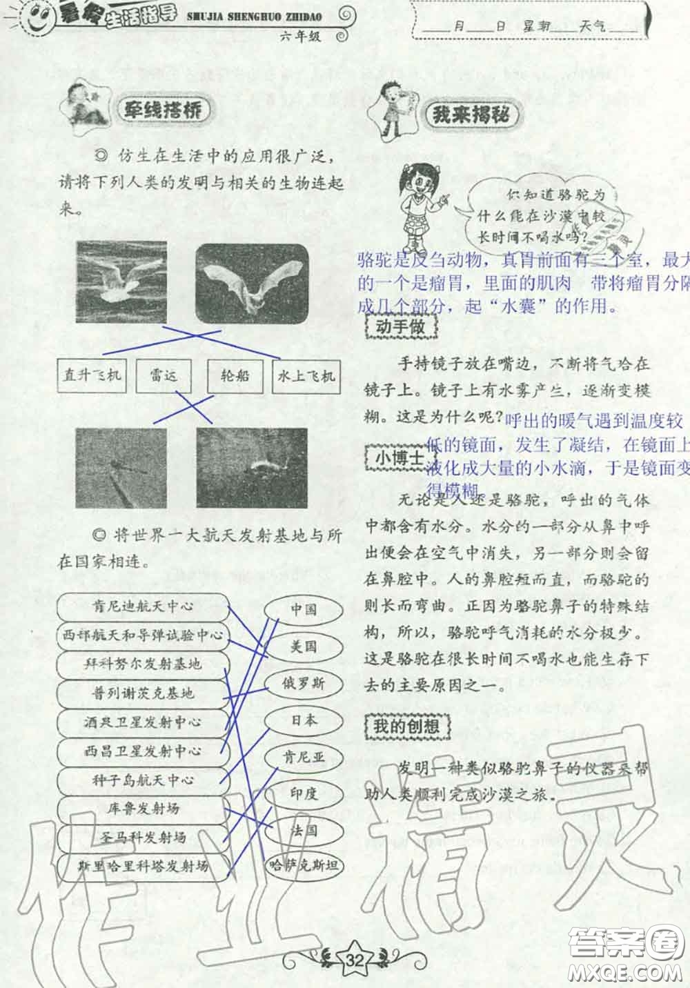 山東教育出版社2020暑假生活指導(dǎo)六年級通用版答案