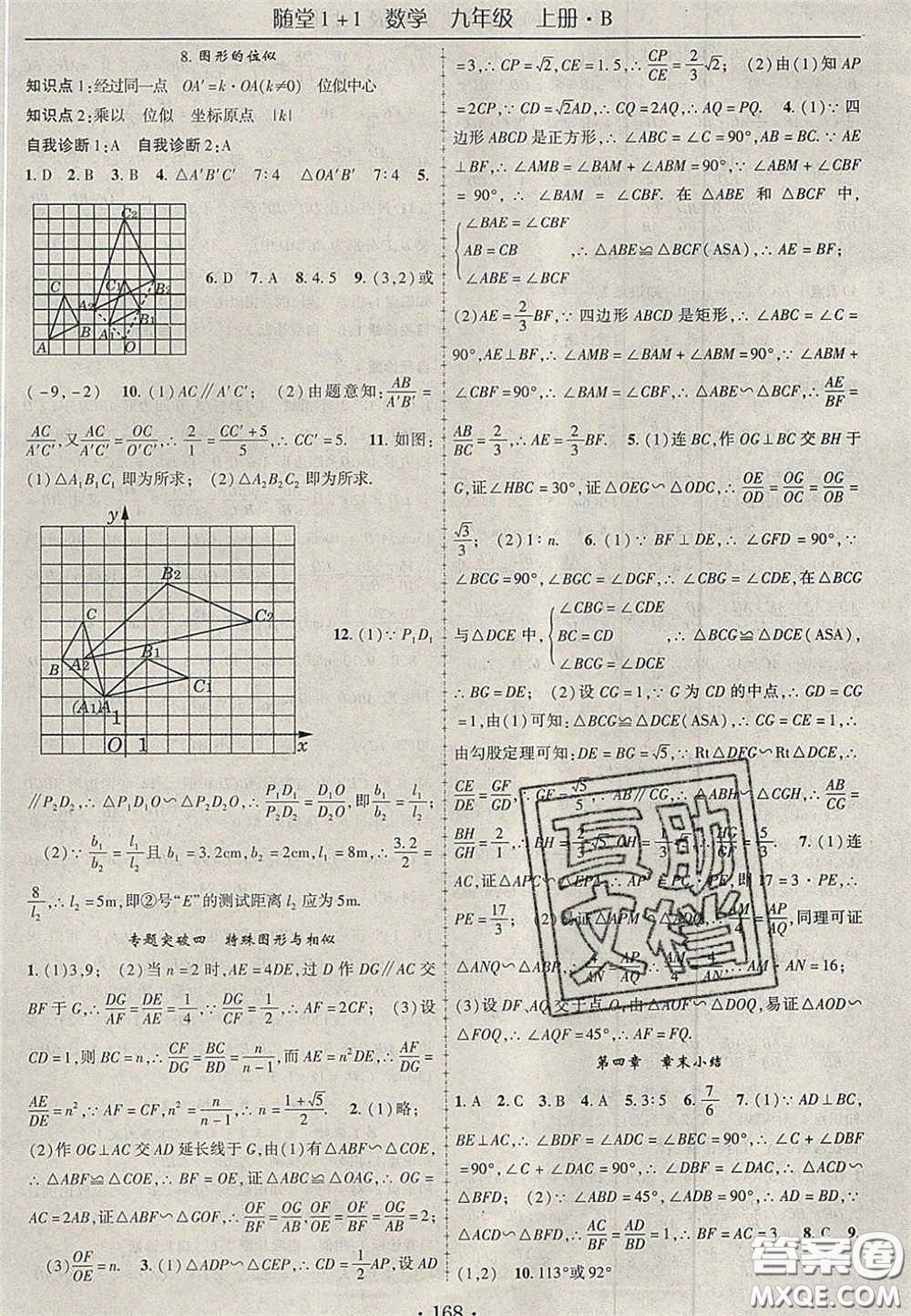 2020年隨堂1加1導(dǎo)練九年級(jí)數(shù)學(xué)上冊(cè)北師大版答案
