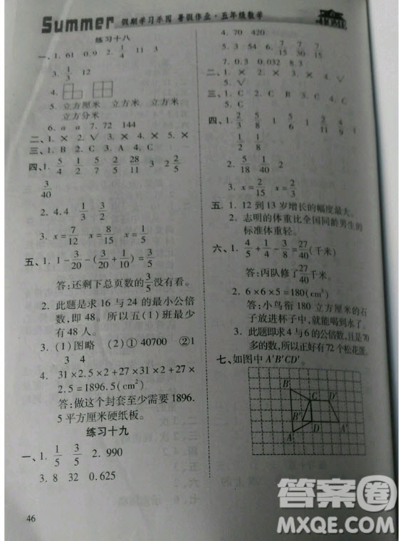 2019年假期學(xué)習(xí)樂園暑假作業(yè)五年級(jí)數(shù)學(xué)人教版答案