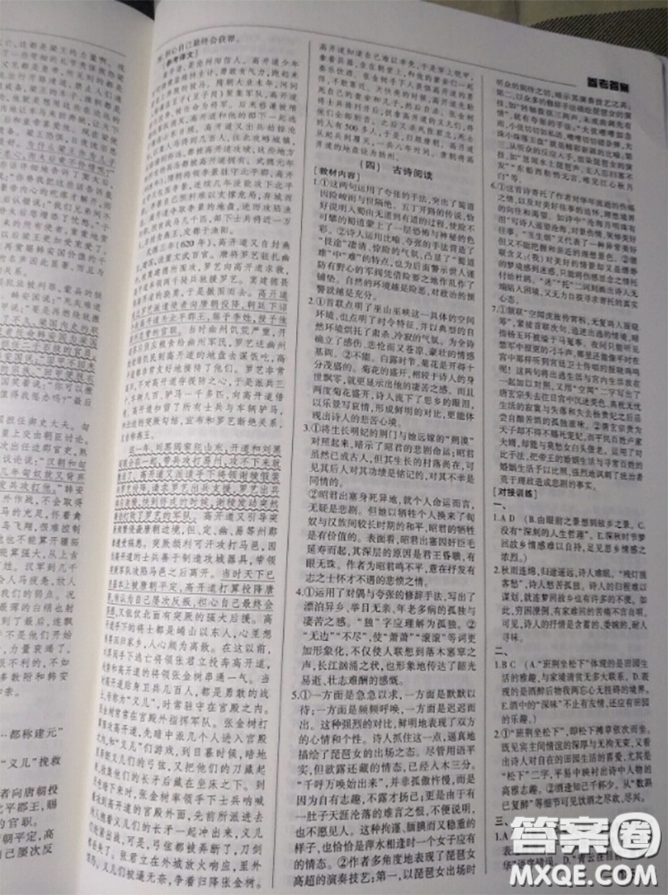 武漢出版社2020年高考語文核按鈕教材梳理參考答案