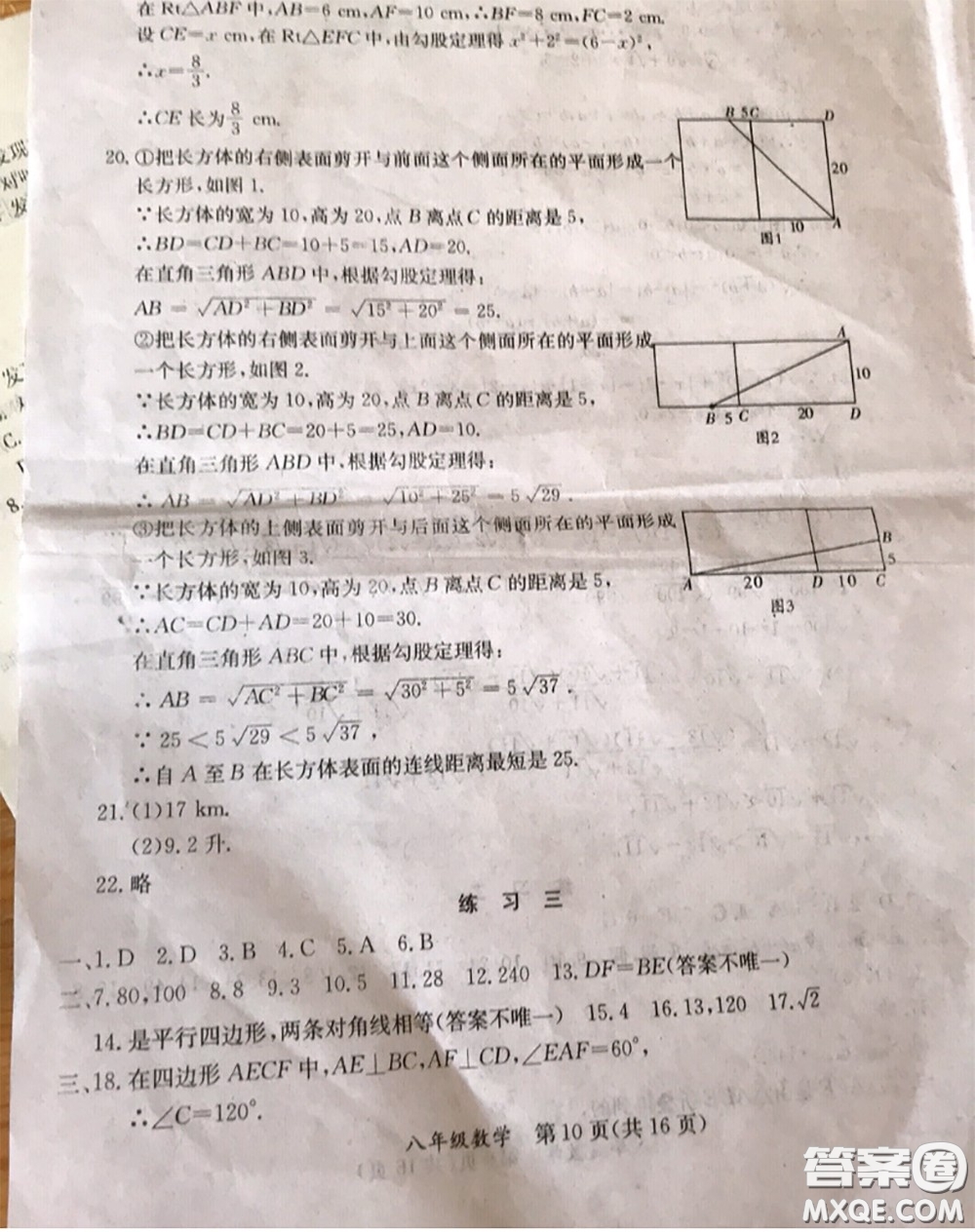 延邊教育出版社2020年暑假作業(yè)八年級(jí)數(shù)學(xué)英語生物人教版參考答案