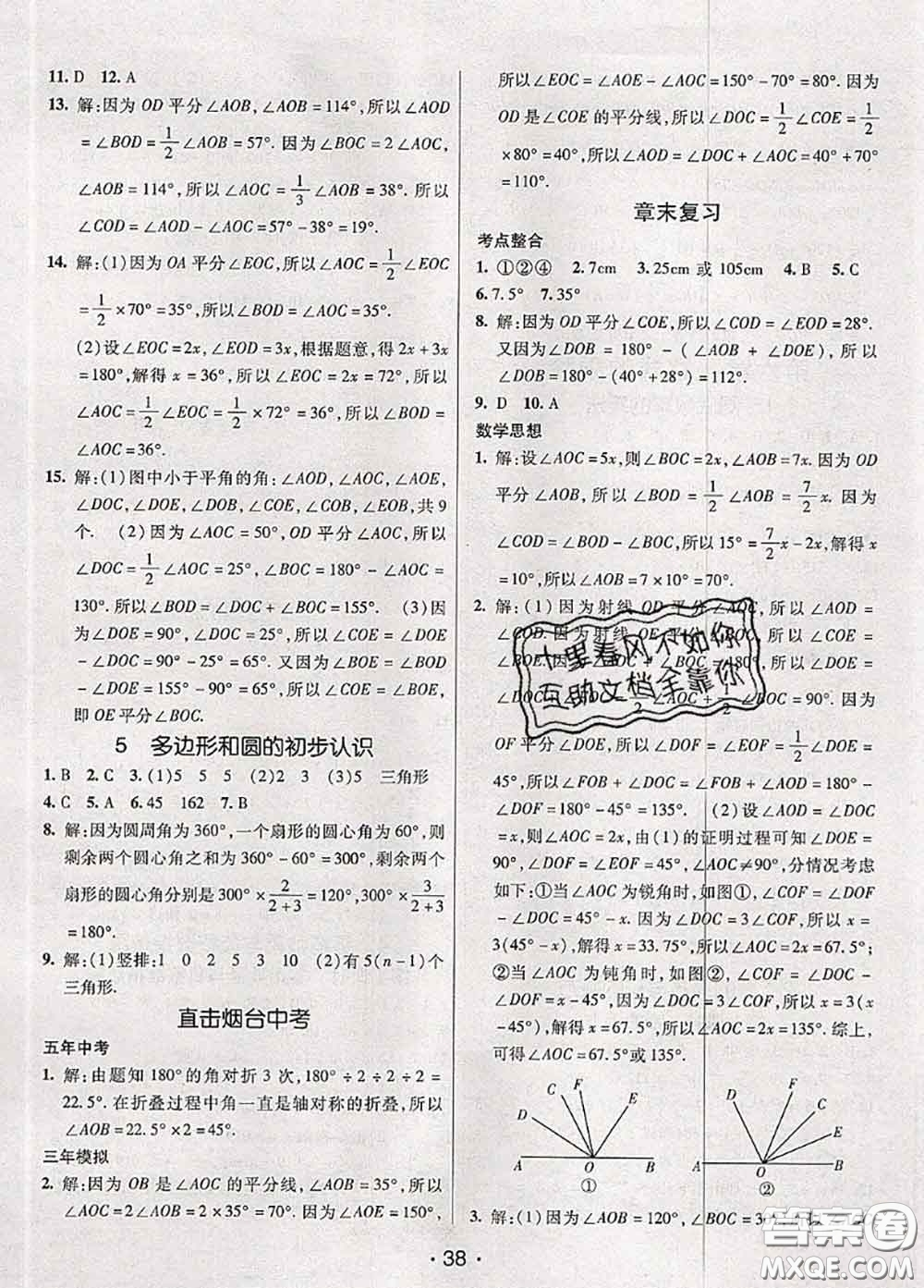 新疆青少年出版社2020同行學(xué)案學(xué)練測六年級(jí)數(shù)學(xué)下冊(cè)魯教版參考答案