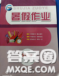 新疆青少年出版社2020年暑假作業(yè)七年級(jí)數(shù)學(xué)人教版參考答案