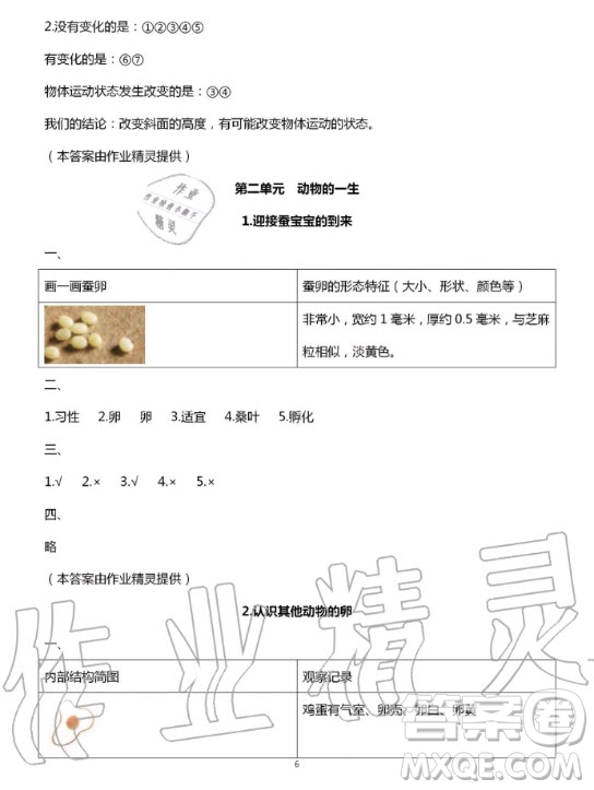 教育科學出版社2020年暑假作業(yè)三年級科學教科版答案