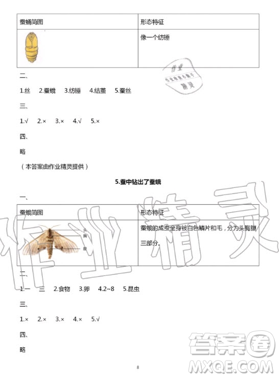 教育科學出版社2020年暑假作業(yè)三年級科學教科版答案