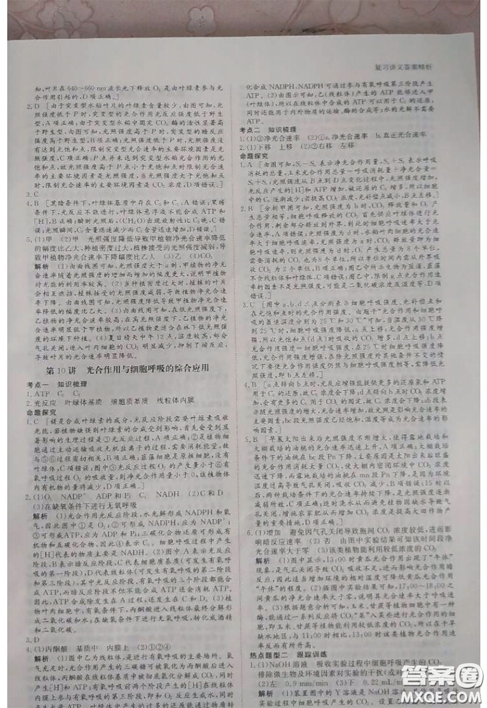 黑龍江教育出版社2020年步步高大一輪復(fù)習(xí)講義生物答案