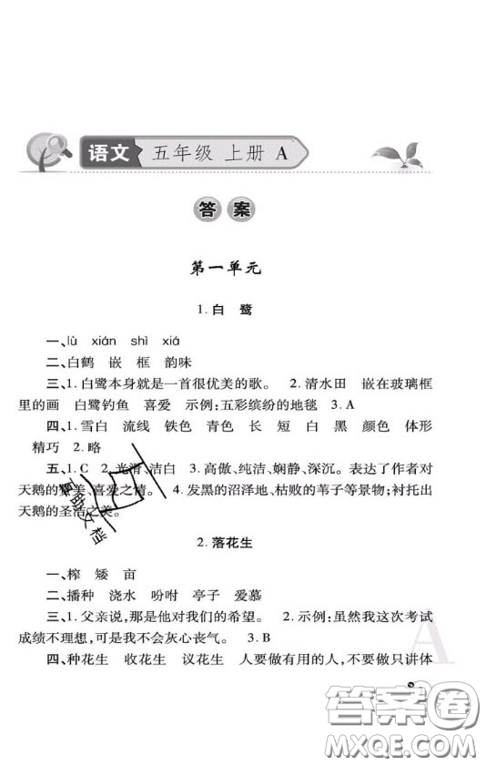 陜西師范大學(xué)出版社2020春課堂練習(xí)冊五年級數(shù)學(xué)上冊A版答案