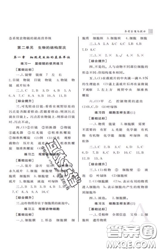 陜西師范大學(xué)出版總社2020課堂練習(xí)冊(cè)七年級(jí)生物學(xué)上冊(cè)A版答案