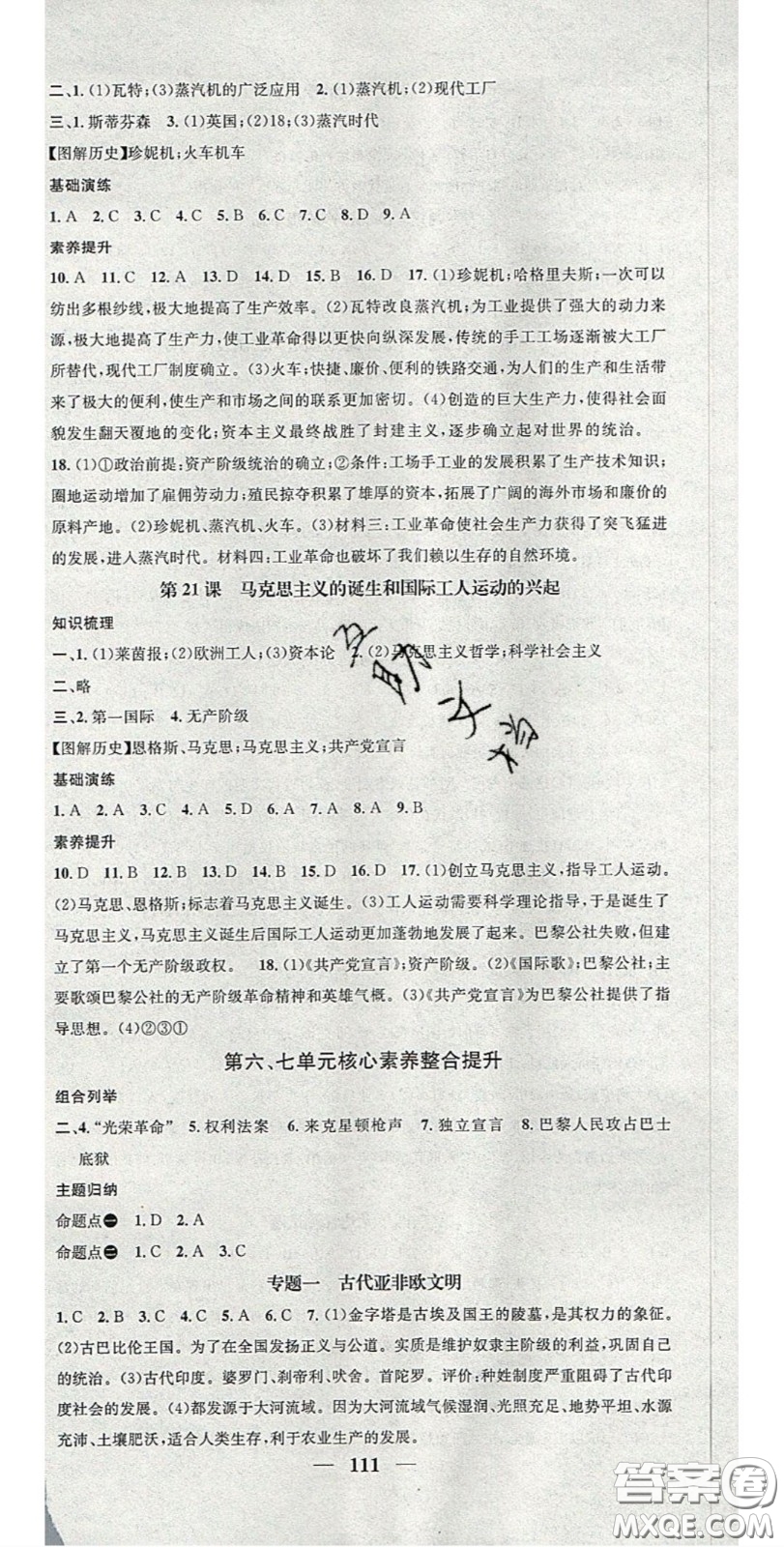 2020智慧學(xué)堂核心素養(yǎng)提升法九年級歷史上冊人教版答案