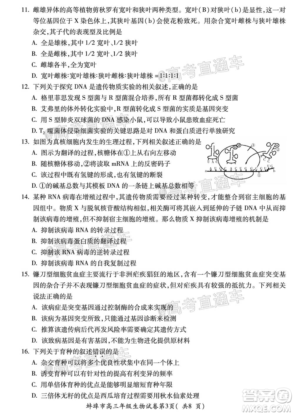 蚌埠市2021屆高三年級第一次教學質(zhì)量監(jiān)測生物試題及答案