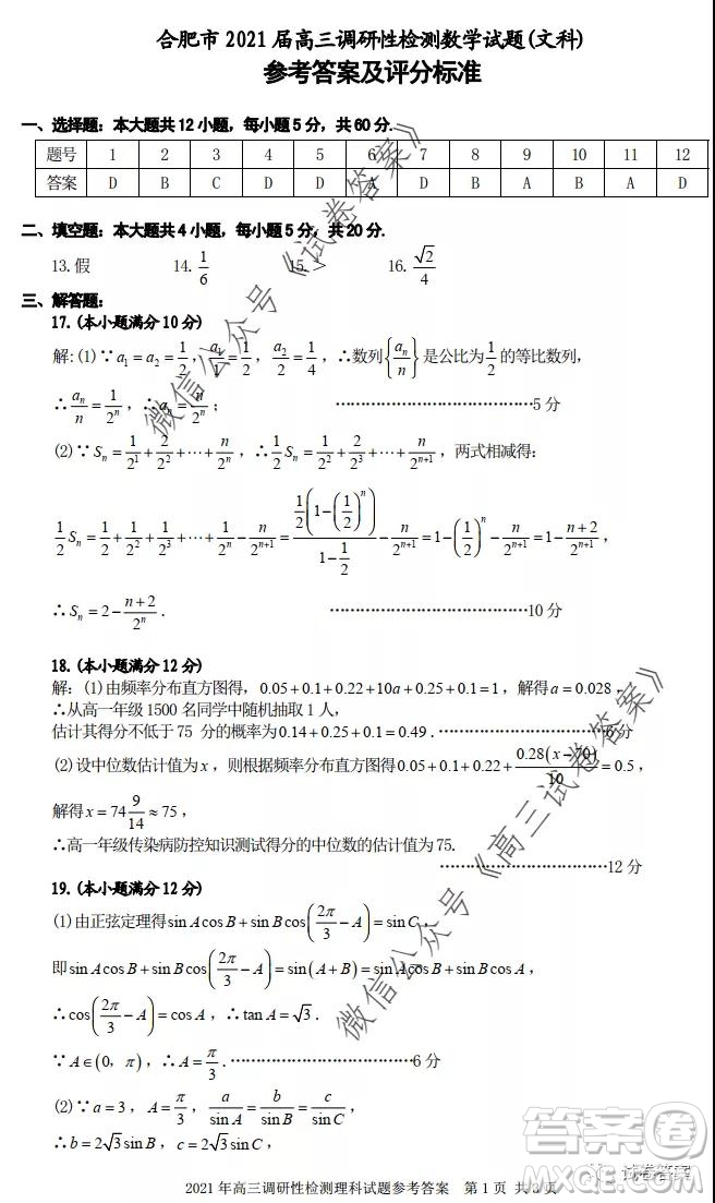 合肥市2021屆高三調(diào)研性檢測文科數(shù)學試題及答案