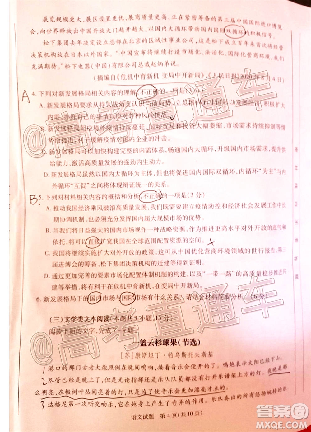 合肥市2021屆高三調(diào)研性檢測(cè)語文試題及答案