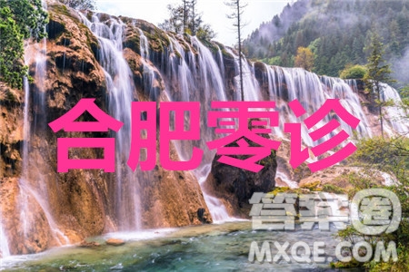 合肥市2021屆高三調(diào)研性檢測(cè)語文試題及答案