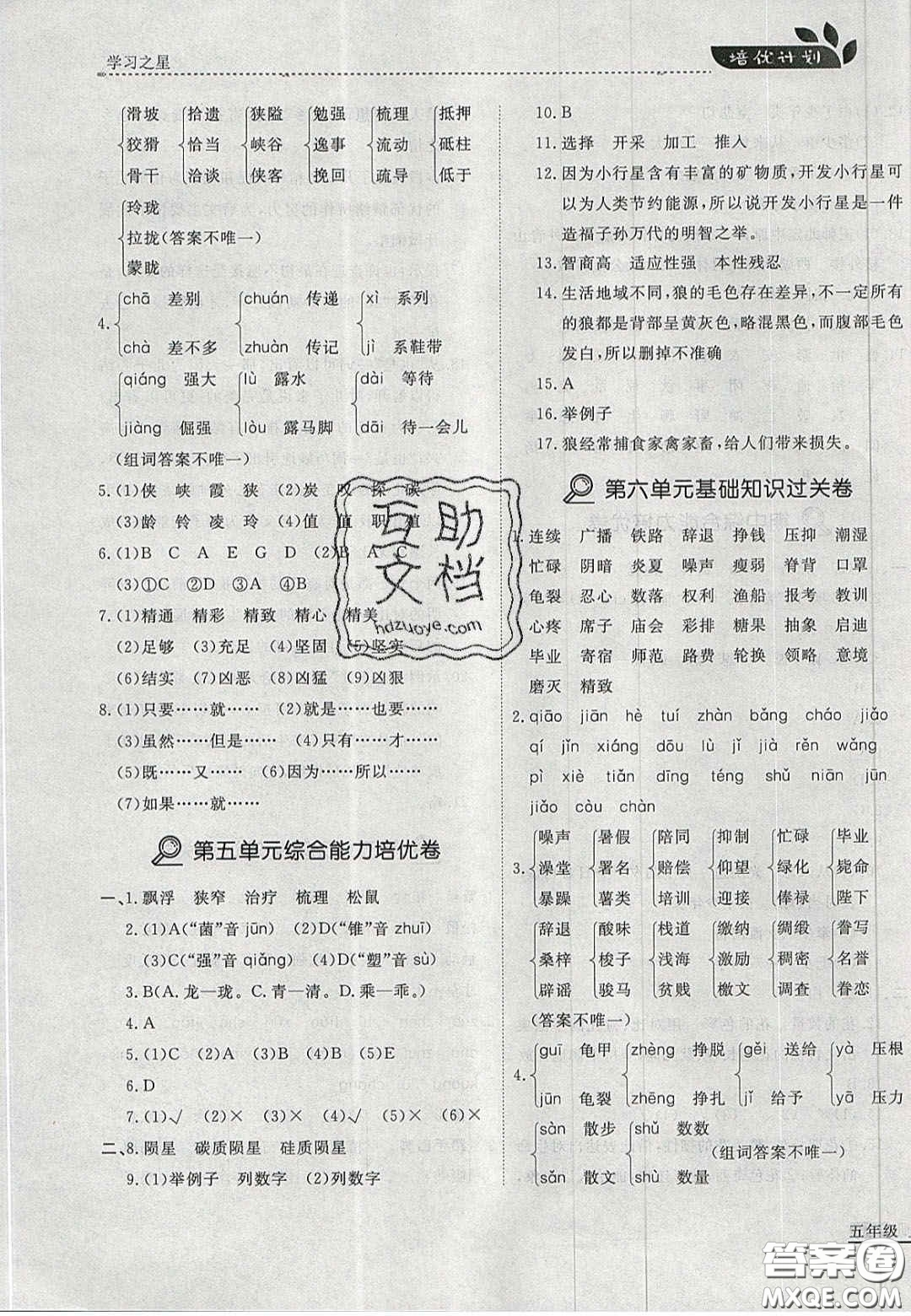2020年學習之星培優(yōu)計劃五年級語文上冊人教版答案