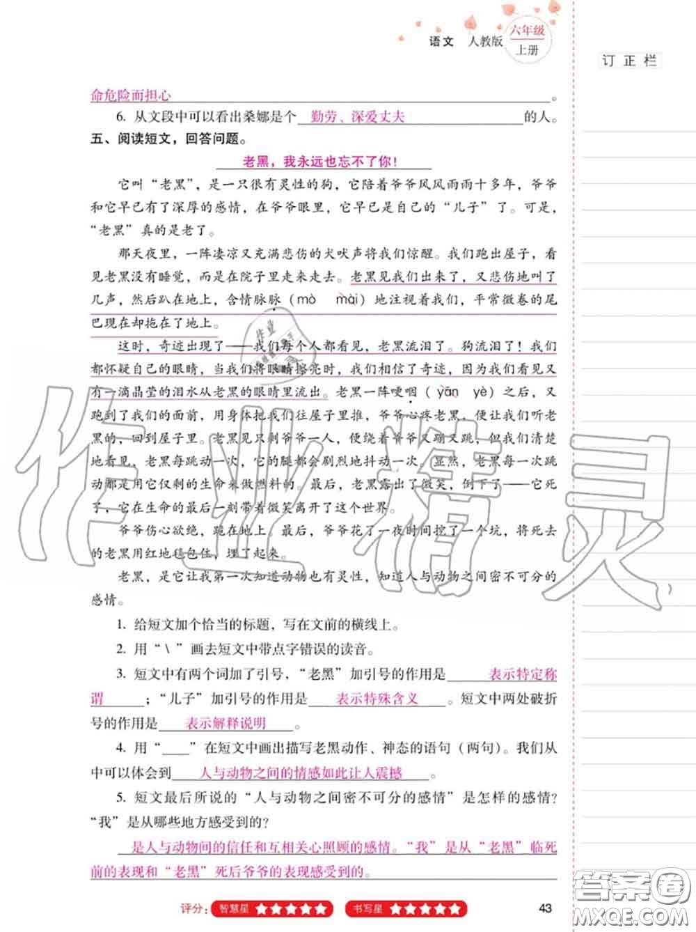 2020年秋同步指導(dǎo)訓(xùn)練與檢測六年級語文上冊人教版參考答案