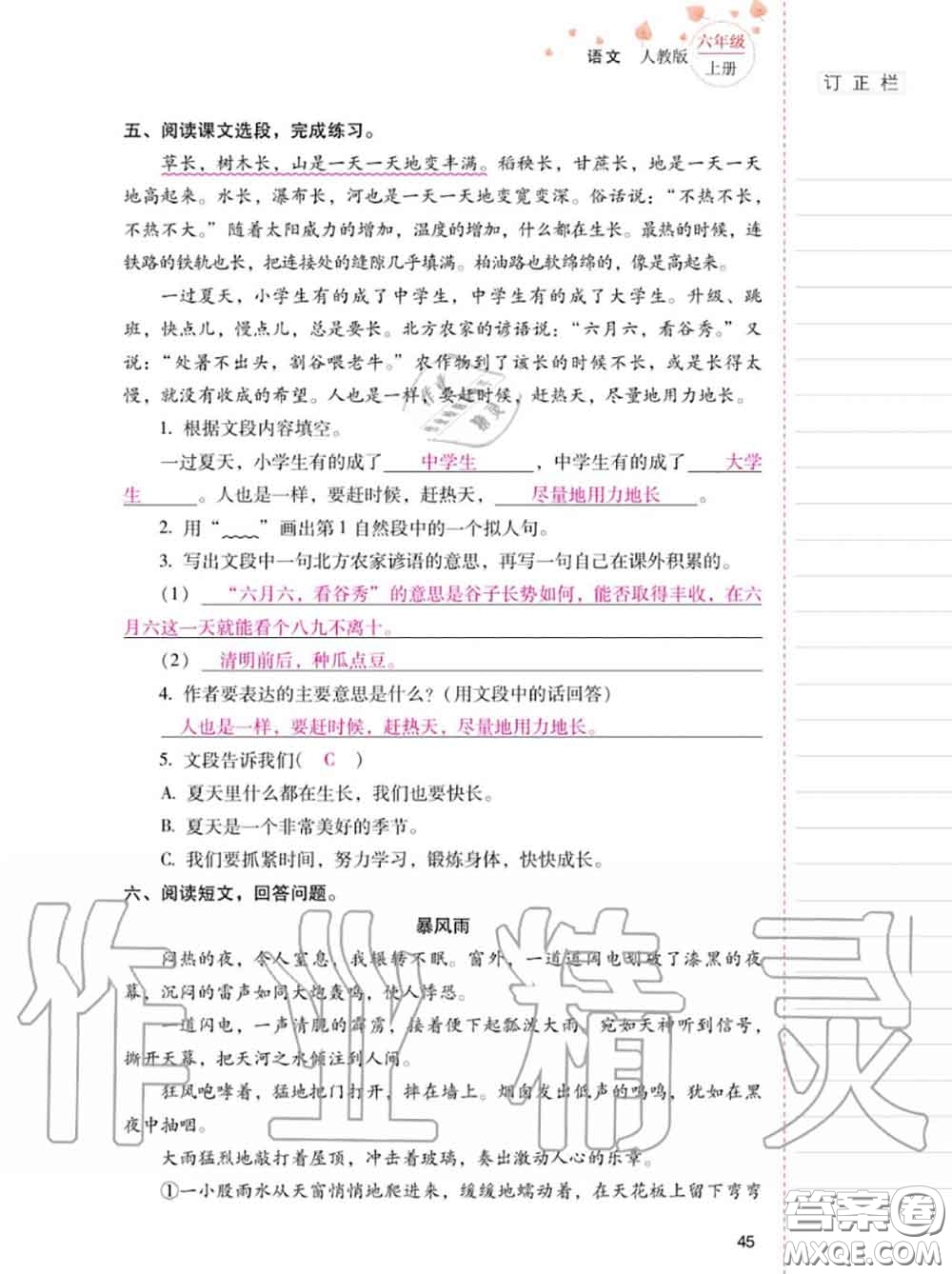 2020年秋同步指導(dǎo)訓(xùn)練與檢測六年級語文上冊人教版參考答案