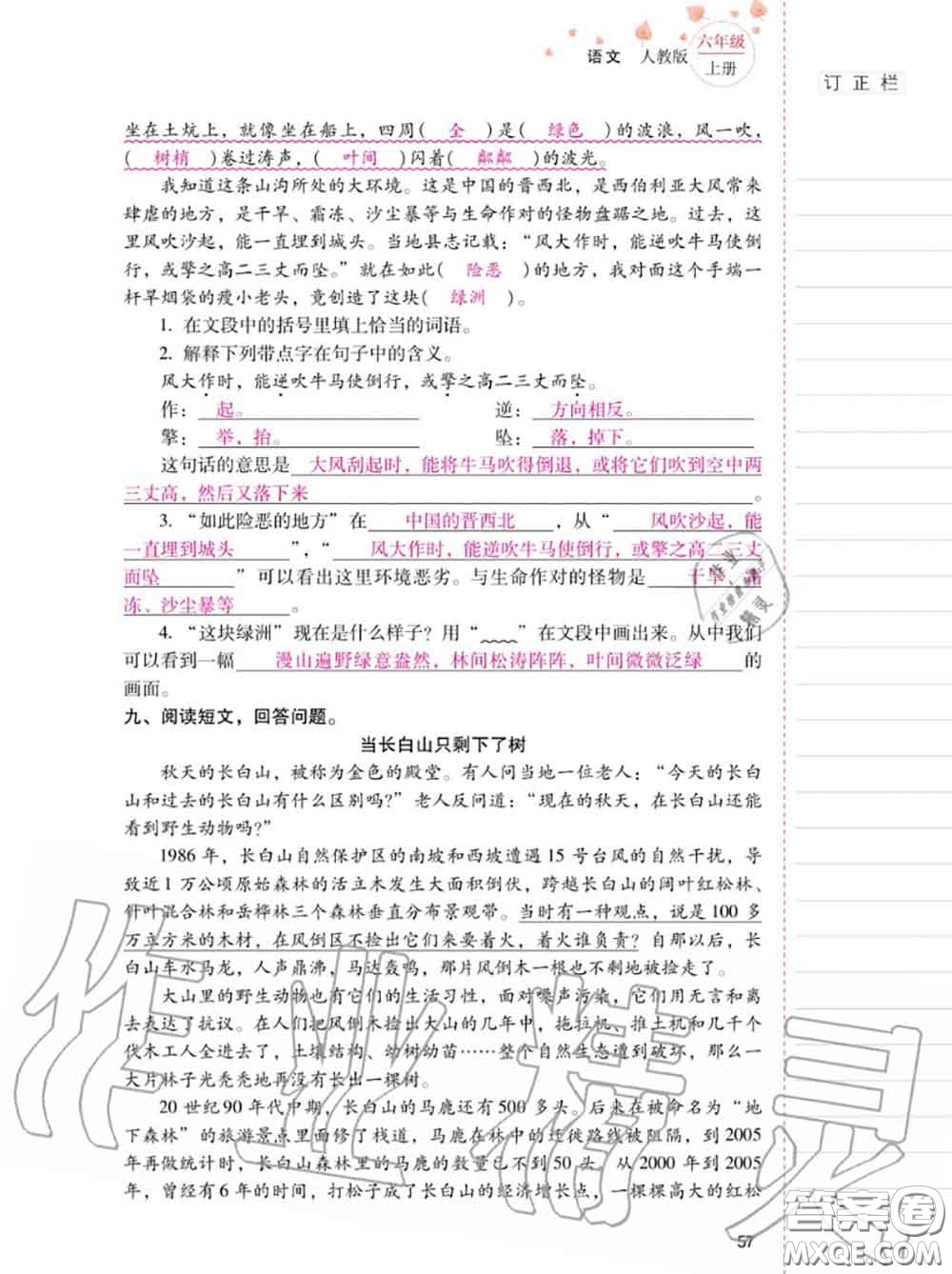 2020年秋同步指導(dǎo)訓(xùn)練與檢測六年級語文上冊人教版參考答案