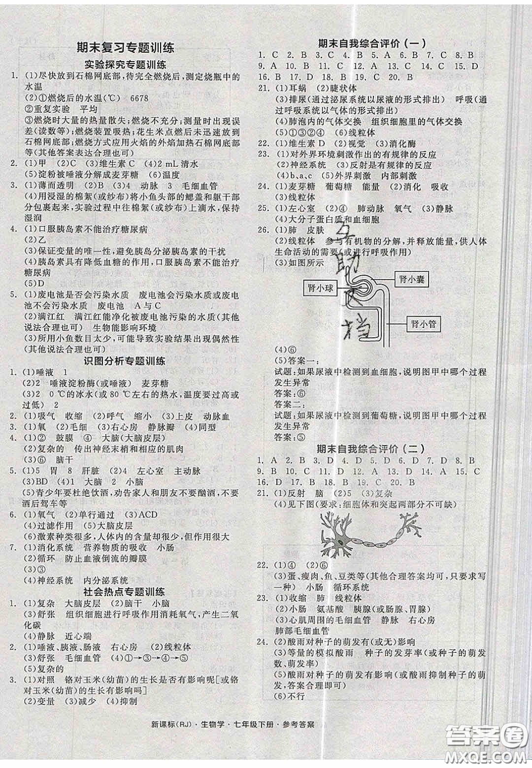 2020年期末考向標海淀新編跟蹤突破測試卷七年級數學上冊湘教版答案