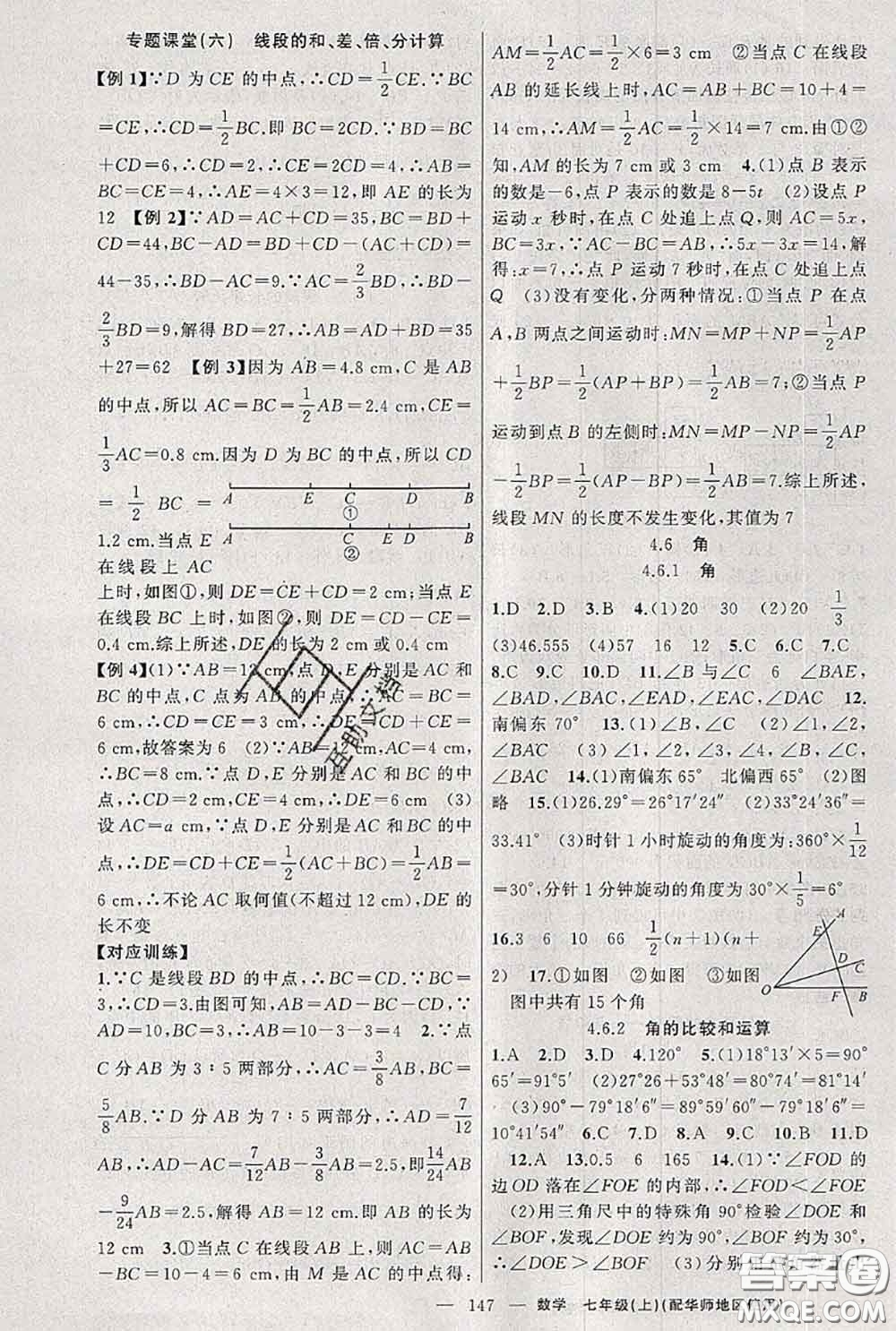 新疆青少年出版社2020秋原創(chuàng)新課堂七年級數(shù)學上冊華師版答案