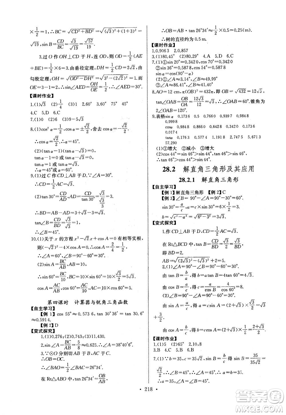 2020年長江全能學(xué)案同步練習(xí)冊數(shù)學(xué)九年級全一冊人教版答案