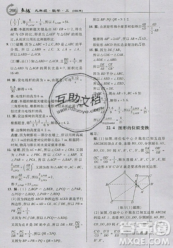 上?？茖W(xué)技術(shù)出版社2020年九年級(jí)上冊(cè)滬科版數(shù)學(xué)教材習(xí)題答案