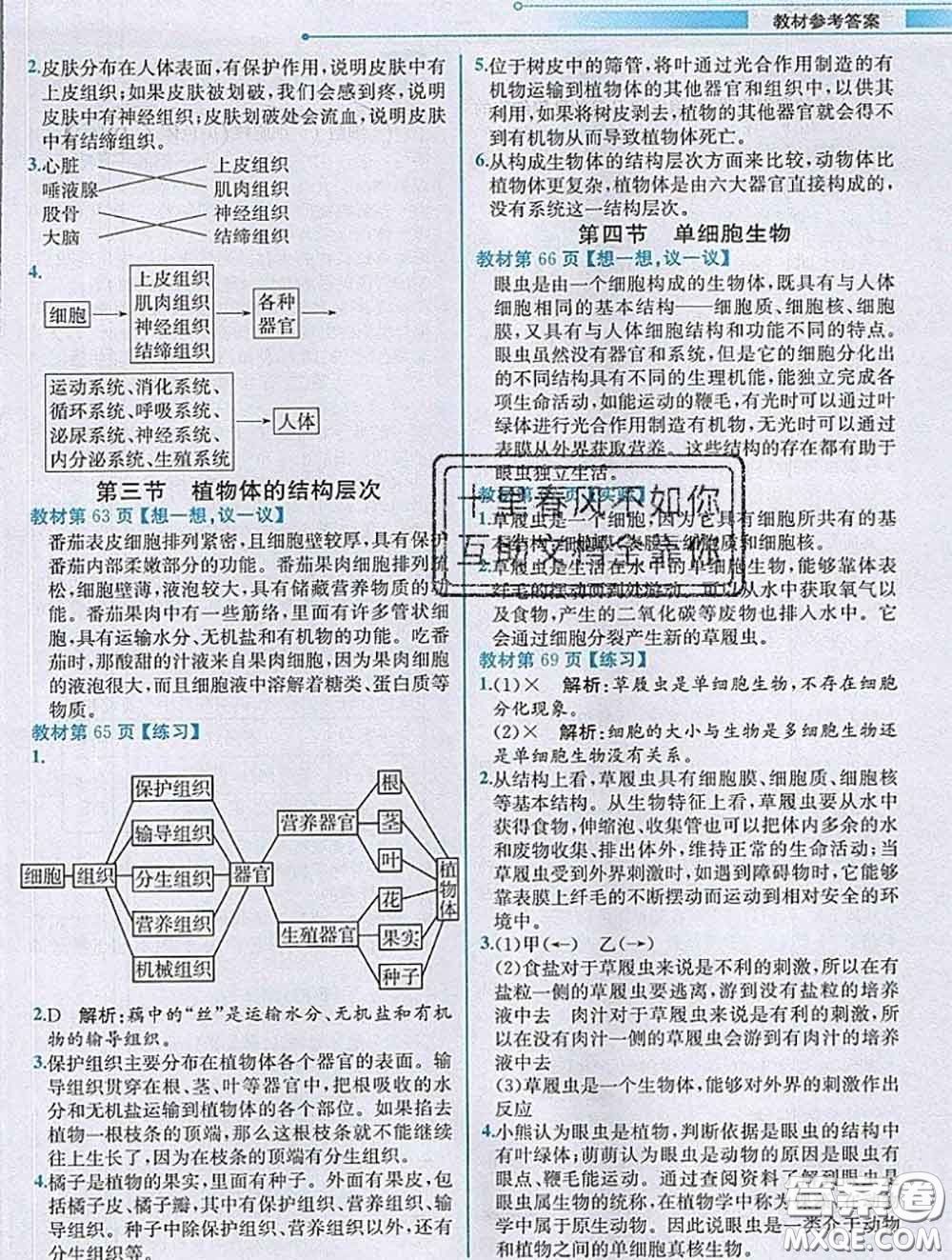 人民教育出版社2020秋課本教材七年級(jí)生物上冊(cè)人教版參考答案